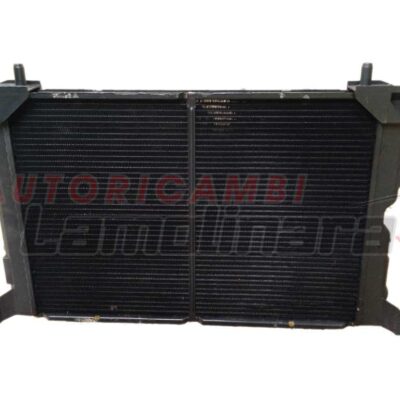 Radiador del motor sistema refrigeración Agua Fiat Ritmo 138 Diesel IRPA Torino