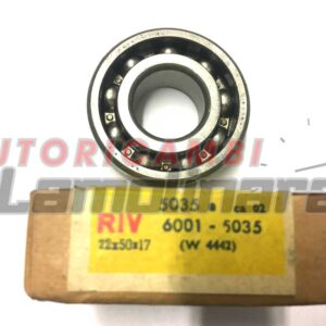 RIV 605035 A Cojinete  1100 1500 1600 614944 SKF 6001 5035 A 60015035 28043180 22x50x17