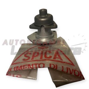 81417 SPICA pompa acqua per Fiat Autobianchi 238 A111 Primula 4267566 PA143 GRAF